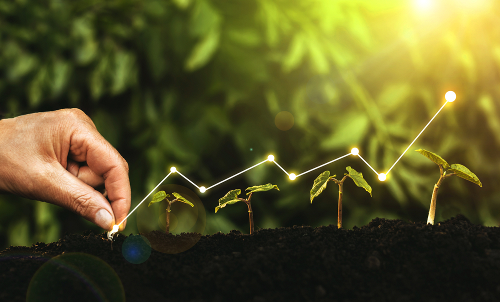 Agricultural services growth